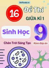 Tuyển tập 16 Đề thi giữa Kì 1 môn Sinh Học 9 sách Chân Trời Sáng Tạo (Kèm đáp án)
